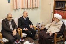 دیدار دکتر صالحی، رئیس سازمان انرژی اتمی با حضرت آیت الله العظمی صافی گلپایگانی